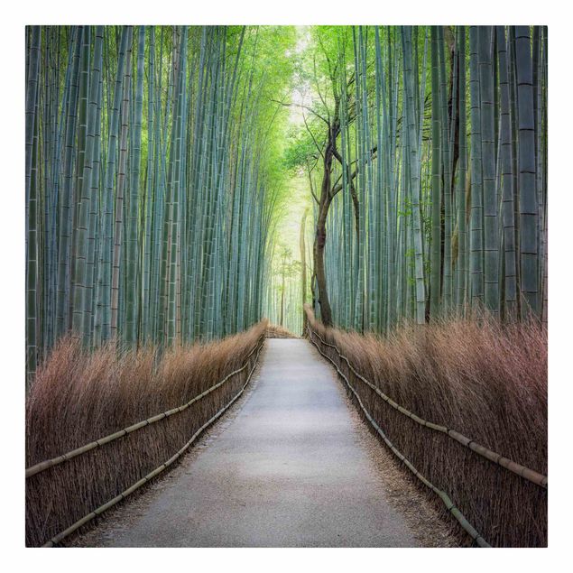 Telas decorativas cidades e paisagens urbanas The Path Through The Bamboo