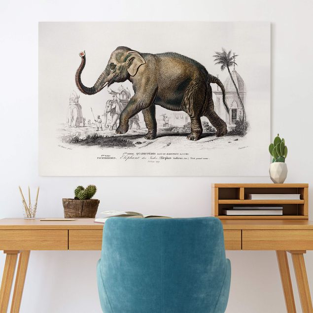 Telas decorativas elefantes Vintage Board Elephant