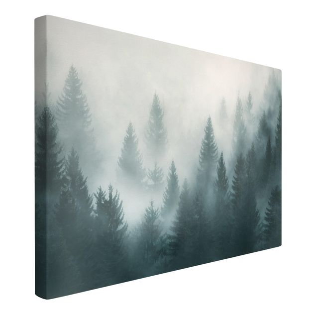 Telas decorativas paisagens Coniferous Forest In Fog