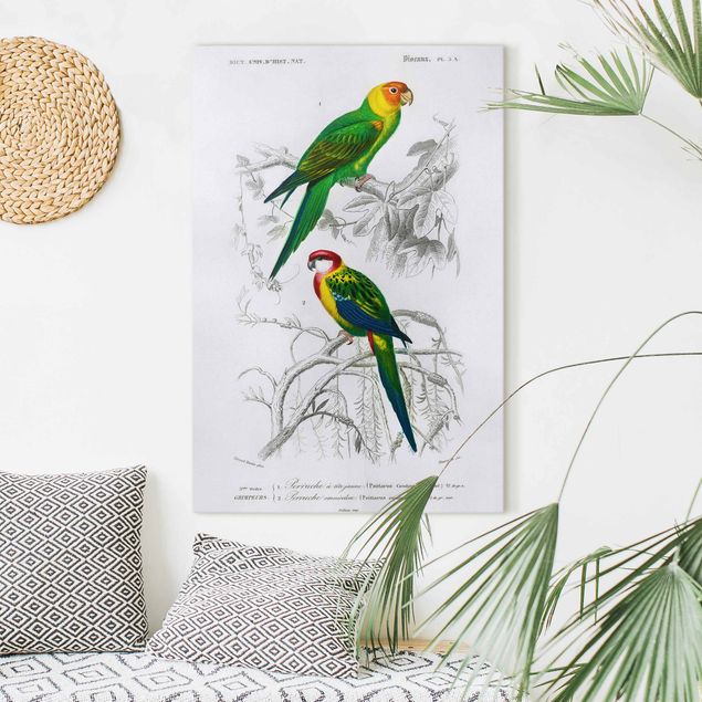 decoraçoes cozinha Vintage Wall Chart Two Parrots Green Red
