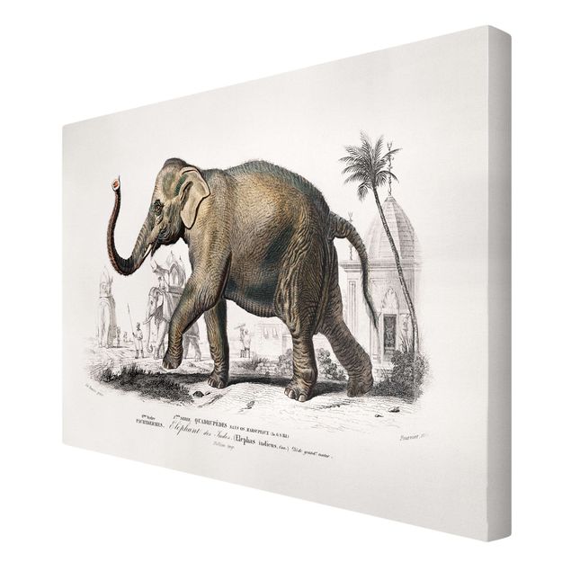 Telas decorativas vintage Vintage Board Elephant