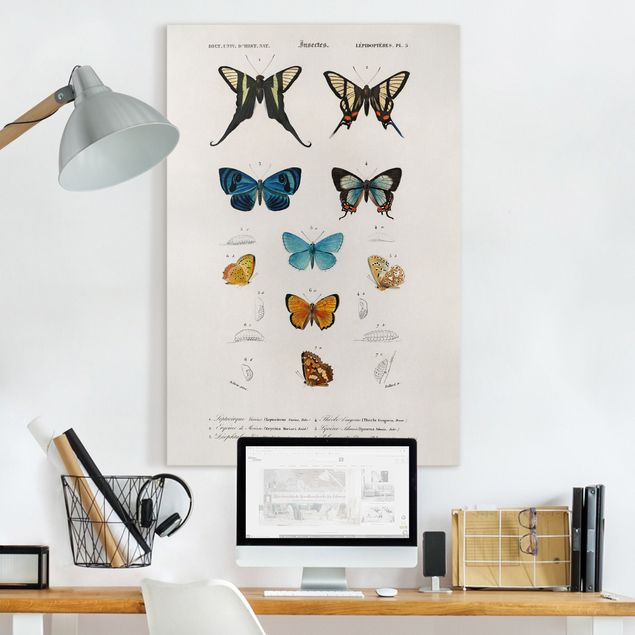 decoraçao cozinha Vintage Board Butterflies I