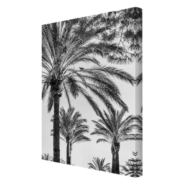 Quadros florais Palm Trees At Sunset Black And White