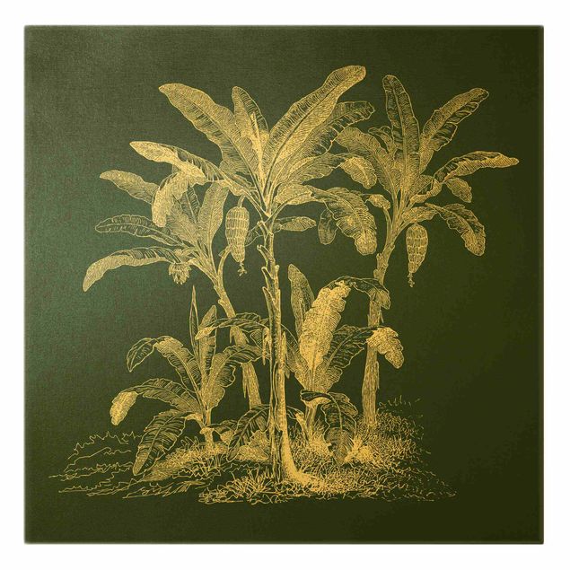 quadro com flores Illustration Banana Trees On Green