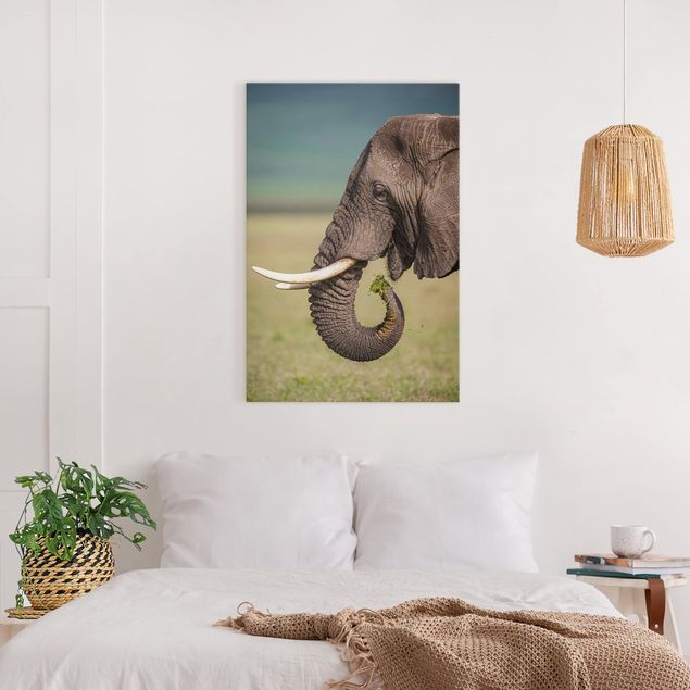 decoraçoes cozinha Feeding Elephants In Africa
