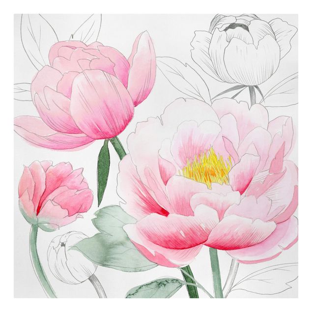 quadros flores Drawing Light Pink Peonies