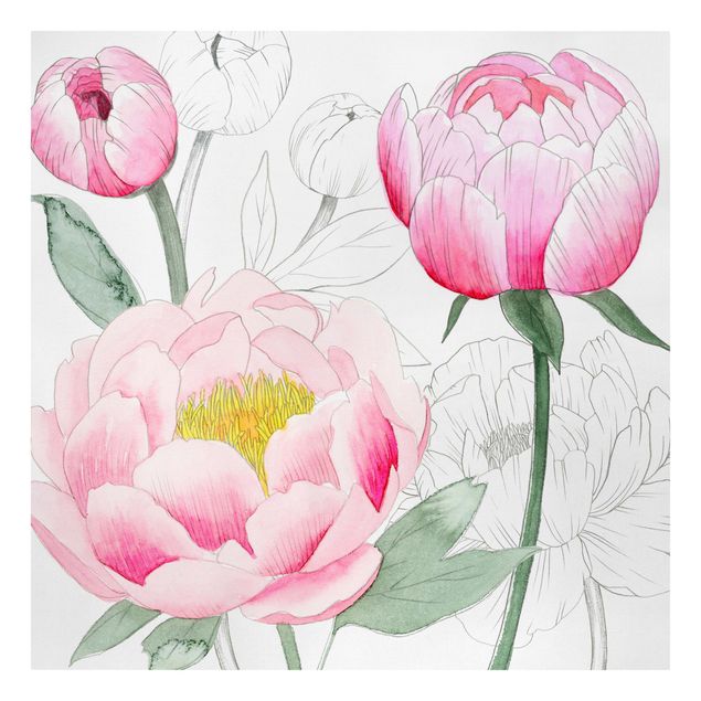 quadros flores Drawing Light Pink Peonies II