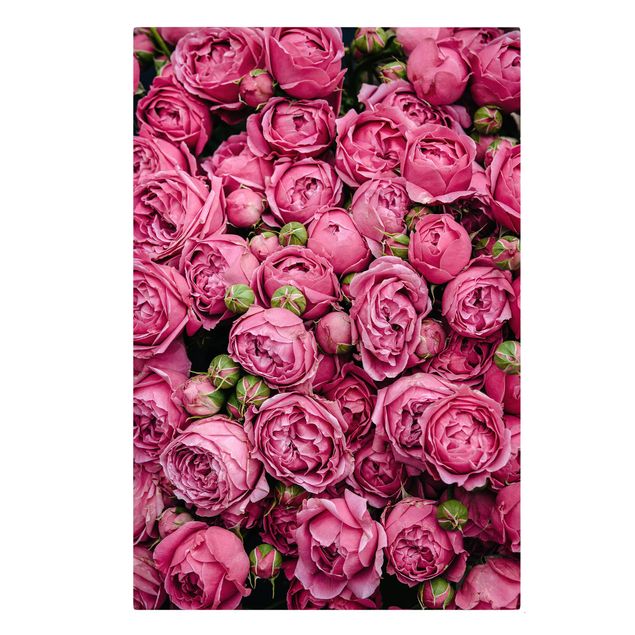 quadros flores Pink Peonies