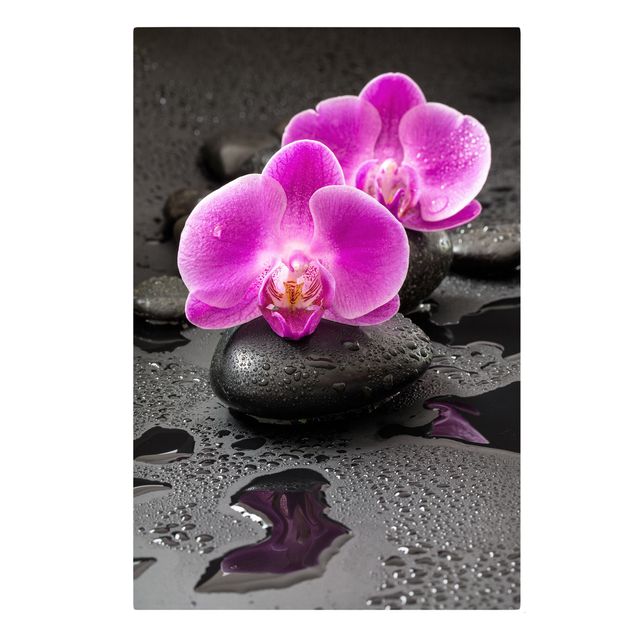 Telas decorativas réplicas de quadros famosos Pink Orchid Flower On Stones With Drops