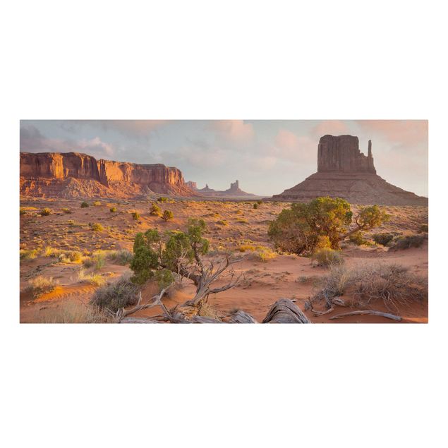Telas decorativas paisagens Monument Valley Navajo Tribal Park Arizona