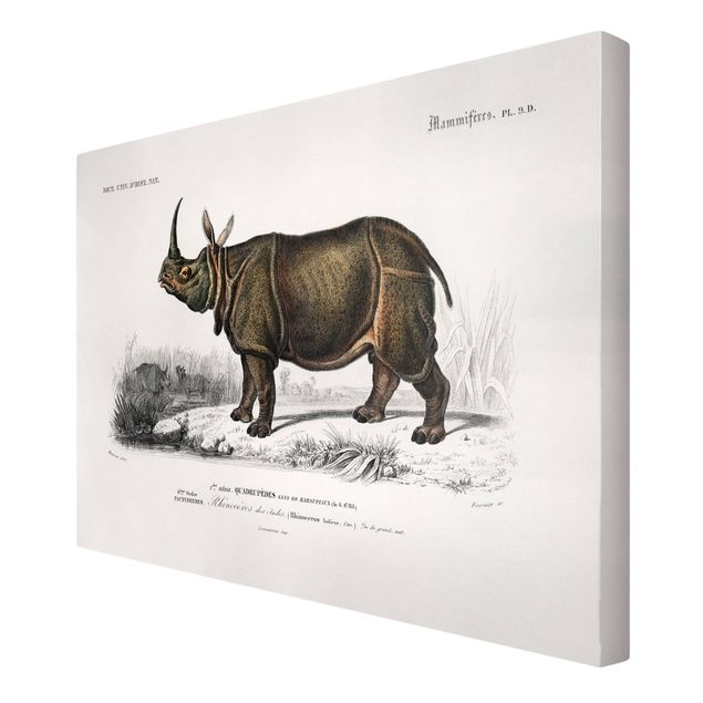 Telas decorativas animais Vintage Board Rhino