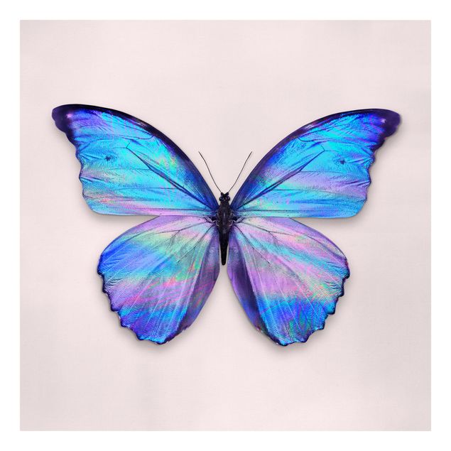 Telas decorativas réplicas de quadros famosos Holographic Butterfly