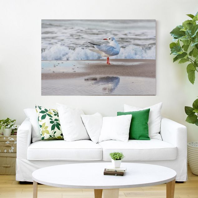 Telas decorativas aves Seagull On The Beach In Front Of The Sea