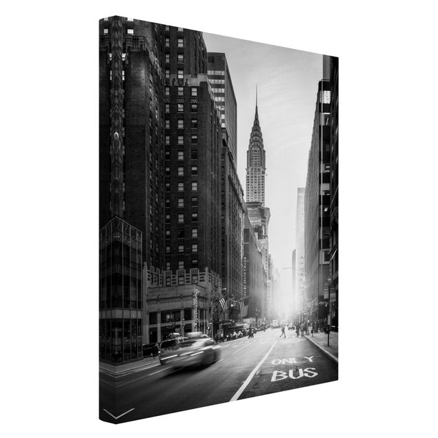 Telas decorativas em preto e branco Lively New York