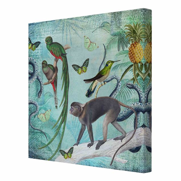 Telas decorativas réplicas de quadros famosos Colonial Style Collage - Monkeys And Birds Of Paradise