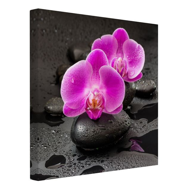 Telas decorativas imitação pedra Pink Orchid Flower On Stones With Drops