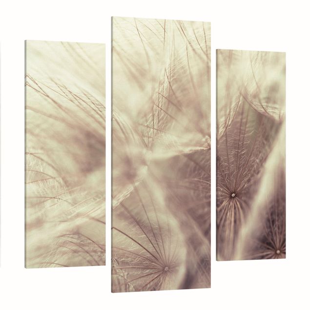 Telas decorativas flores Detailed Dandelion Macro Shot With Vintage Blur Effect