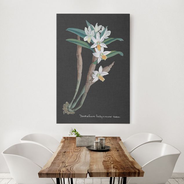 decoraçoes cozinha White Orchid On Linen I