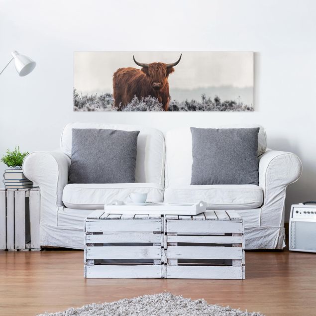 quadros modernos para quarto de casal Bison In The Highlands