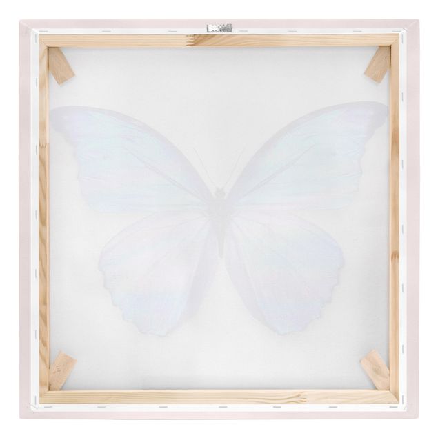 Telas decorativas animais Holographic Butterfly