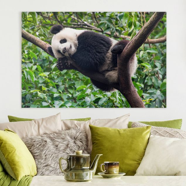 decoraçao para parede de cozinha Sleeping Panda On Tree Branch
