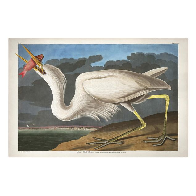 Telas decorativas vintage Vintage Board Great White Egret