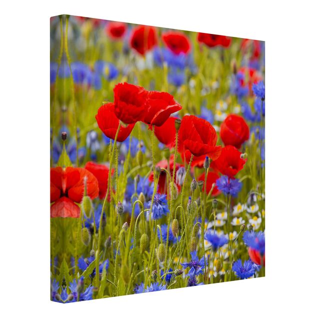 Telas decorativas réplicas de quadros famosos Summer Meadow With Poppies And Cornflowers