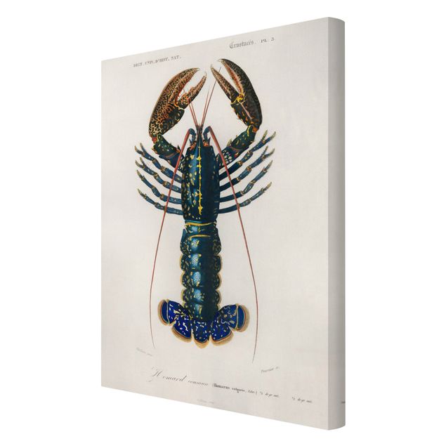 Quadros decorativos Vintage Board Blue Lobster