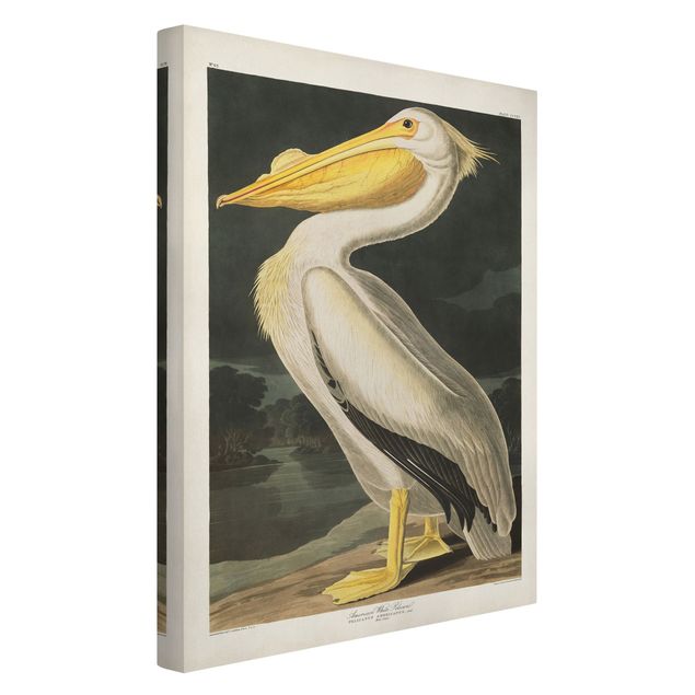 Telas decorativas animais Vintage Board White Pelican