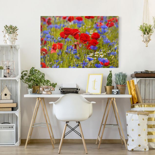 Telas decorativas papoilas Summer Meadow With Poppies And Cornflowers