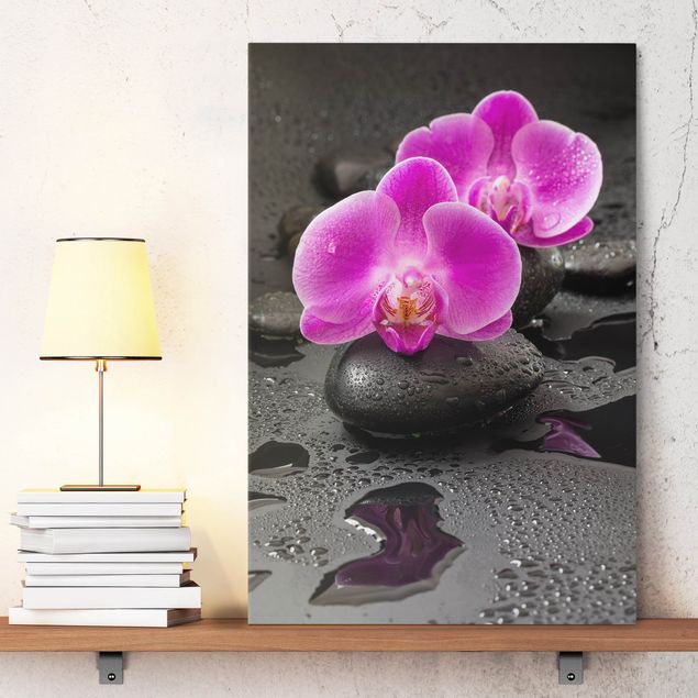 Quadros orquídeas Pink Orchid Flower On Stones With Drops