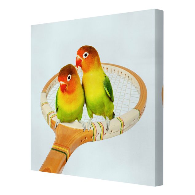 Telas decorativas animais Tennis With Birds