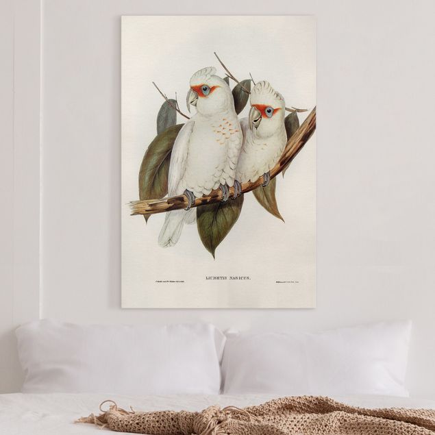 decoraçoes cozinha Vintage Illustration White Cockatoo