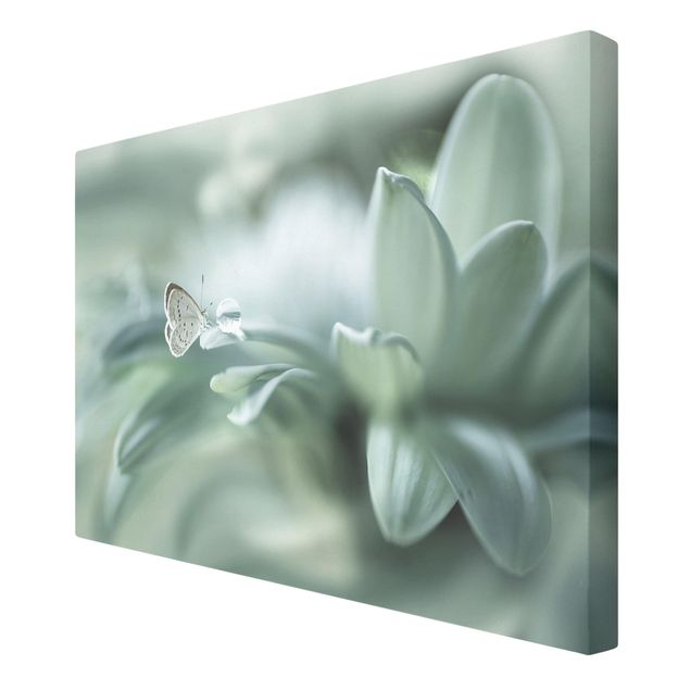 Quadros florais Butterfly And Dew Drops In Pastel Green
