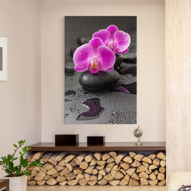 Telas decorativas orquídeas Pink Orchid Flower On Stones With Drops