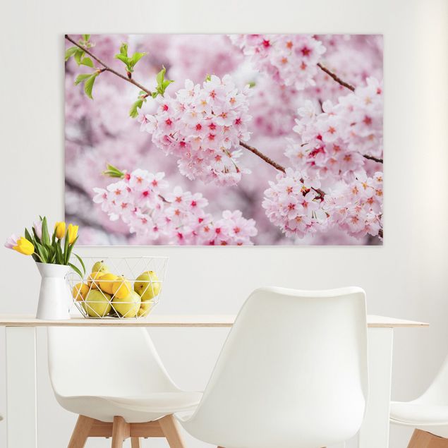 Quadros Ásia Japanese Cherry Blossoms