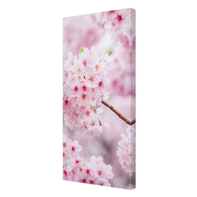 Quadros cidades Japanese Cherry Blossoms
