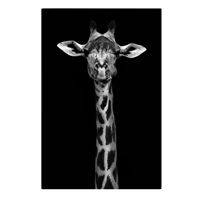 Telas decorativas animais Dark Giraffe Portrait