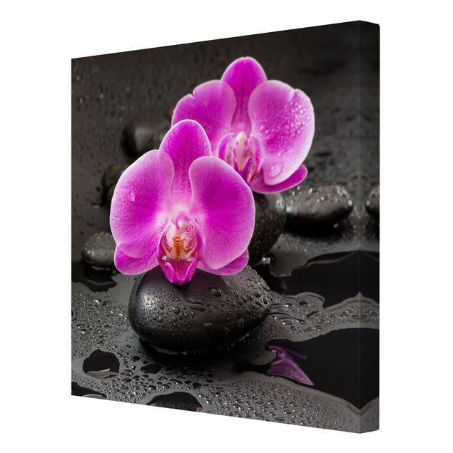 Telas decorativas flores Pink Orchid Flower On Stones With Drops