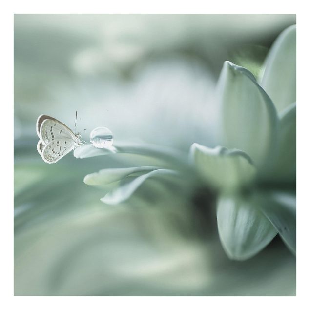 Telas decorativas flores Butterfly And Dew Drops In Pastel Green