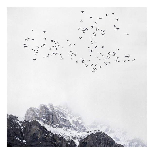 quadro com paisagens Flock Of Birds In Front Of Mountains Black And White