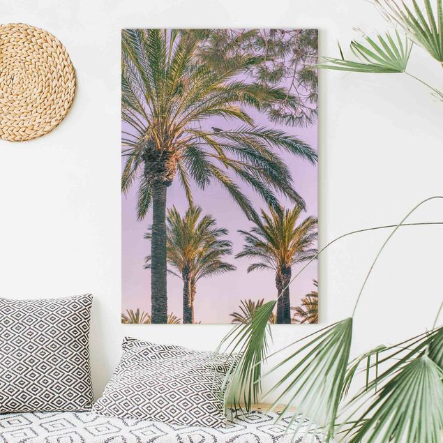 decoraçoes cozinha Palm Trees At Sunset