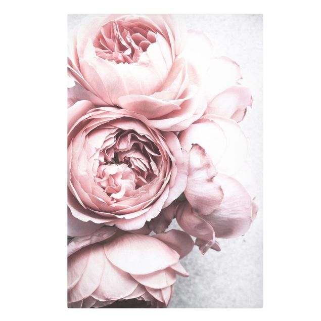 quadro com flores Light Pink Peony Flowers Shabby Pastel