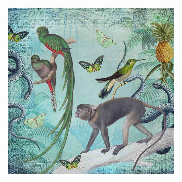 Telas decorativas aves Colonial Style Collage - Monkeys And Birds Of Paradise