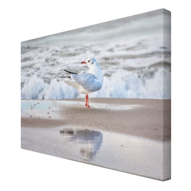 Telas decorativas réplicas de quadros famosos Seagull On The Beach In Front Of The Sea