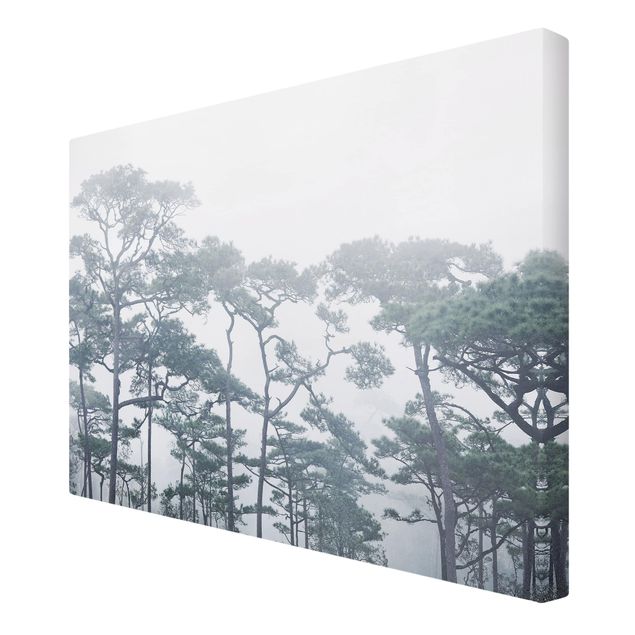 quadro da natureza Treetops In Fog