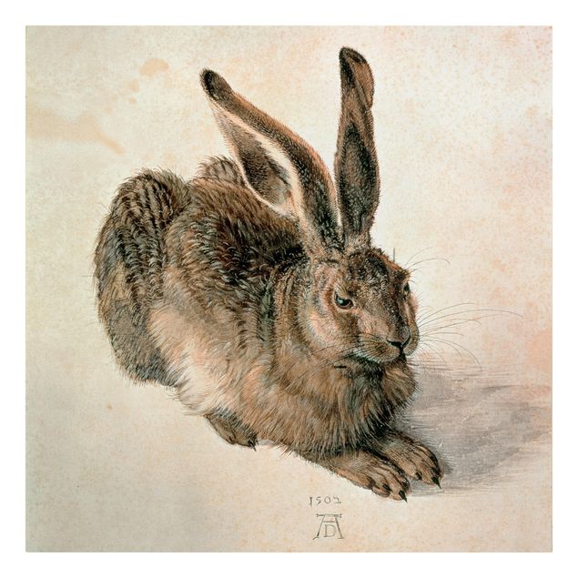 Telas decorativas vintage Albrecht Dürer - Young Hare