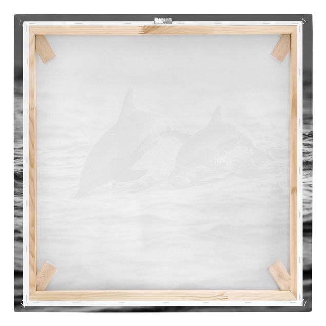 quadros em preto e branco Two Jumping Dolphins