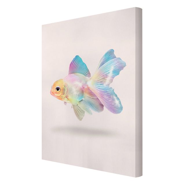 Telas decorativas animais Fish In Pastel