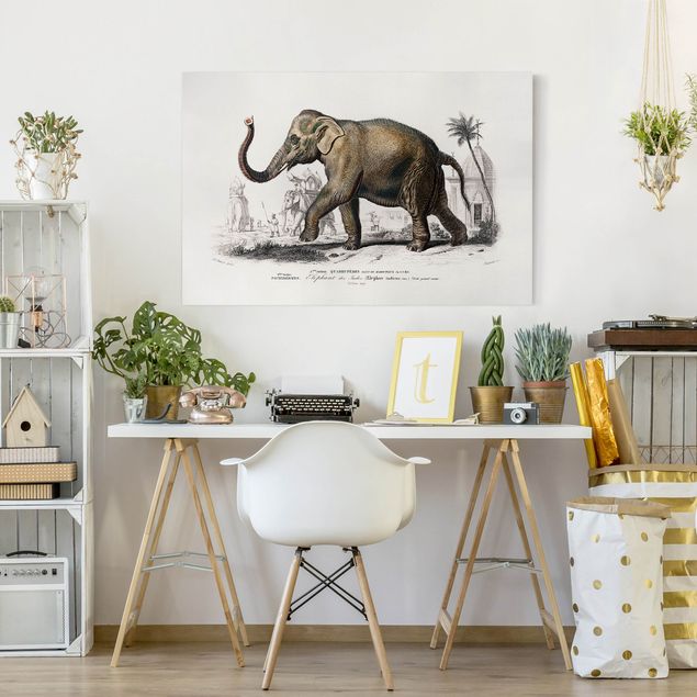 decoraçao cozinha Vintage Board Elephant